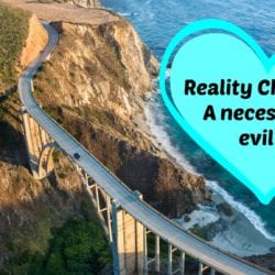 Reality Check - a necessary evil?