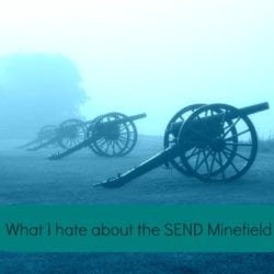 hate about SEND Minefied